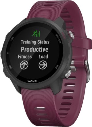 Огляд Смарт годинник Garmin Forerunner 245: характеристики