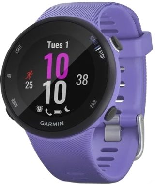 Огляд Смарт годинник Garmin Forerunner 45S: характеристики